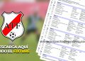 Descarga el fixture completo de la segunda fase de la ATF